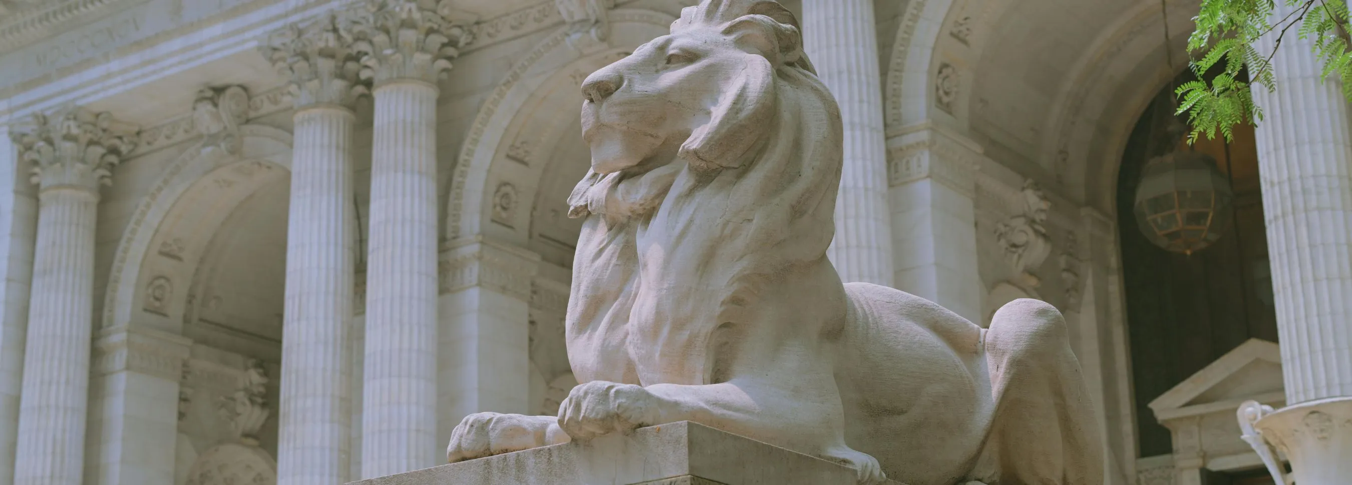 zamowienia-publiczne